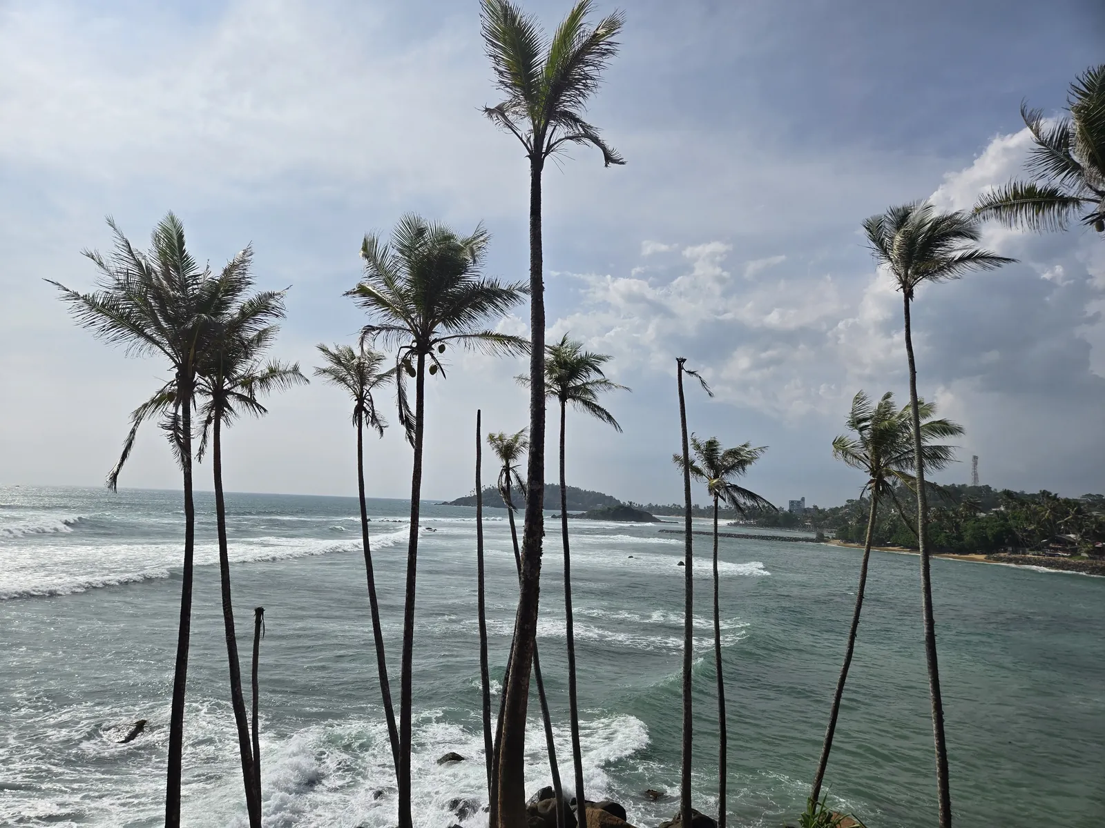 Palmiers sur la côte sud, Sri Lanka